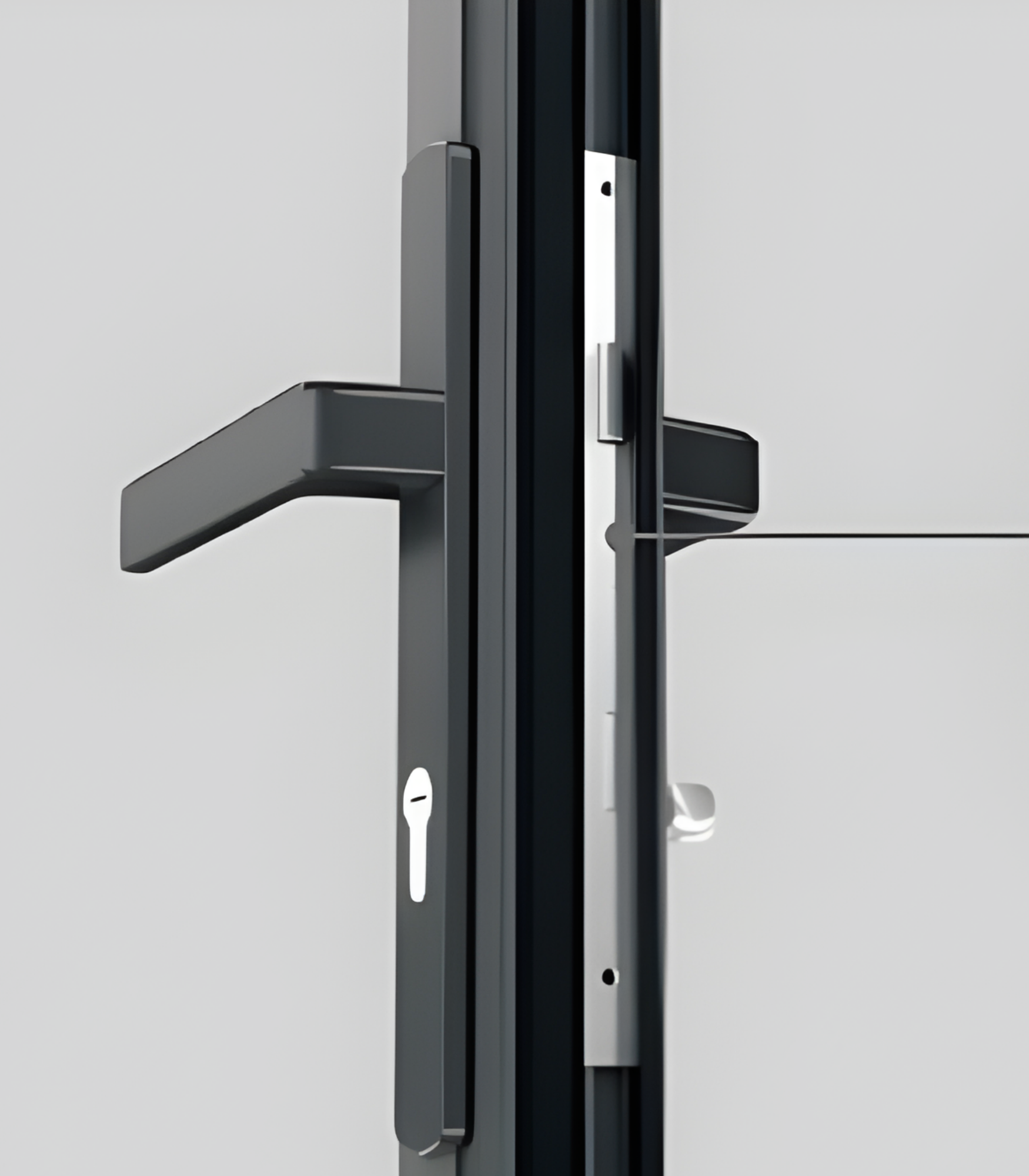 VLX 100 Swing / Entry Door in Austin, TX | Juniper Windows Austin - detail 5